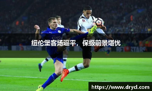 HAHABET官网