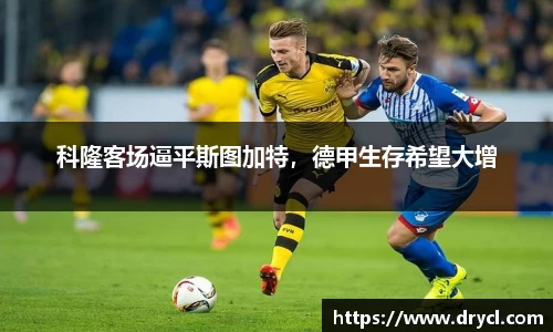 HAHABET网址