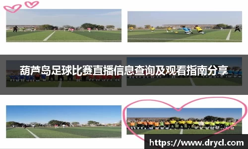 HAHABET网址