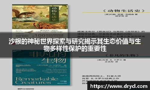 HAHABET官网